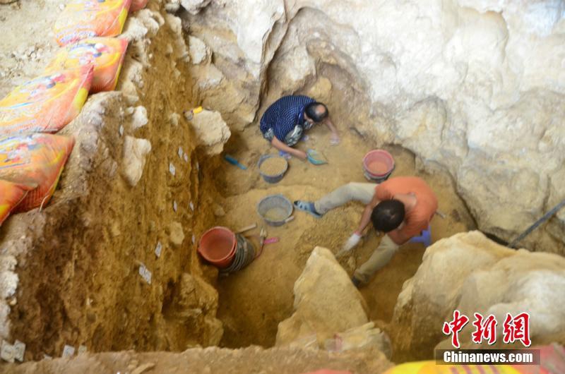 开年选品第.一站，从汤臣牧场开始！