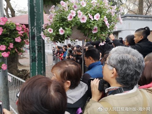 庐阳区发动典雅艺术进校园系列活动