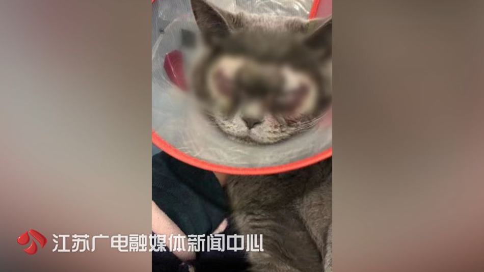 “绚丽70年·醉美塘西河”全民拍摄大赛发动
