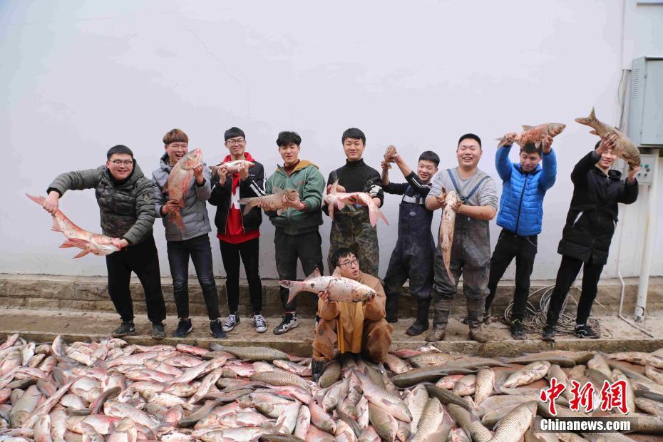 舒城县古琴悠悠奏雅韵