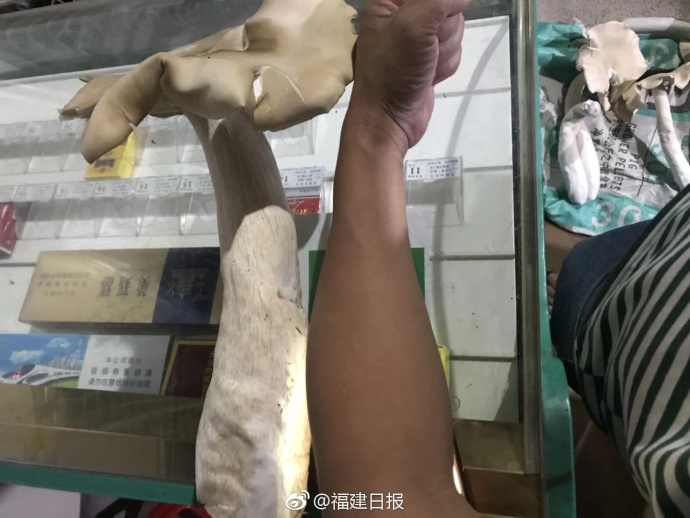 传承赤色基因 宏扬中华文化