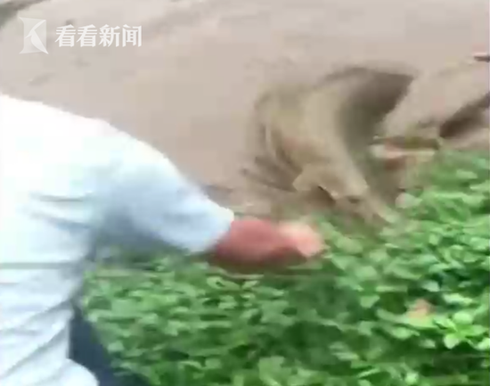 马鞍山“皖美思政课”之史志进高校系列活动发动