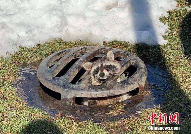 好吃，好玩！妙趣糖玩带您抢占挖儿童市场经济！