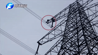 特斯拉無人車隊上線倒數兩星期，卻還沒進行道路測試