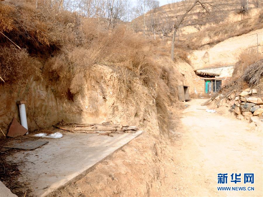 免费艺术大讲堂满意大众多元化需求