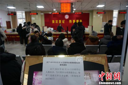 六安舒城山七镇举行“小兰花”春茶采摘典礼