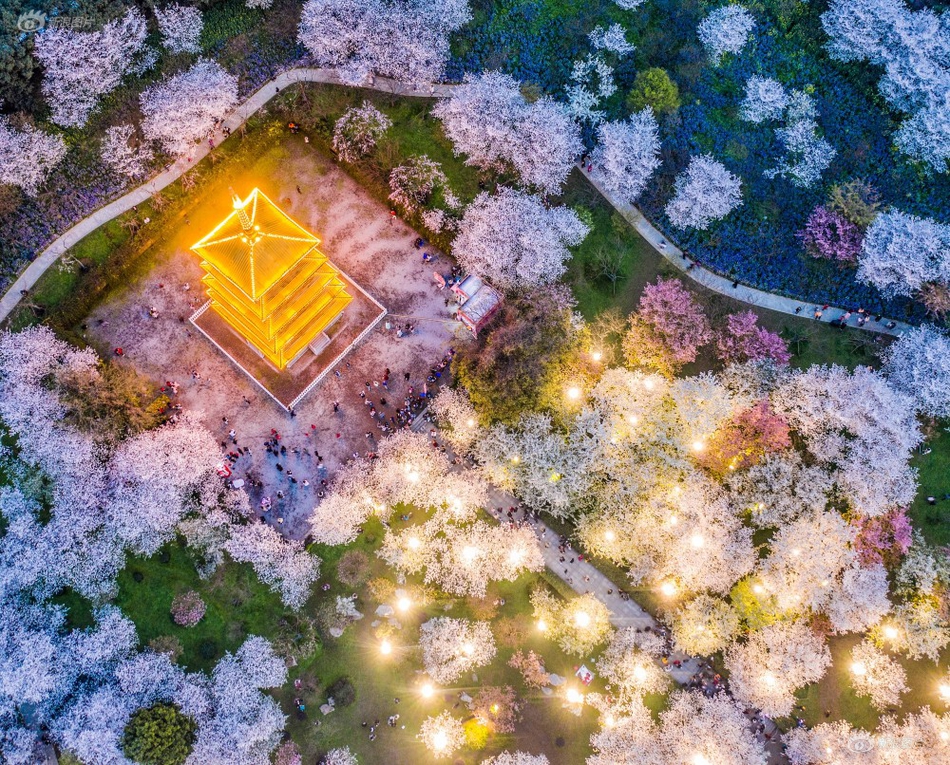 “80后”非遗传承人玩转葫芦雕画18年