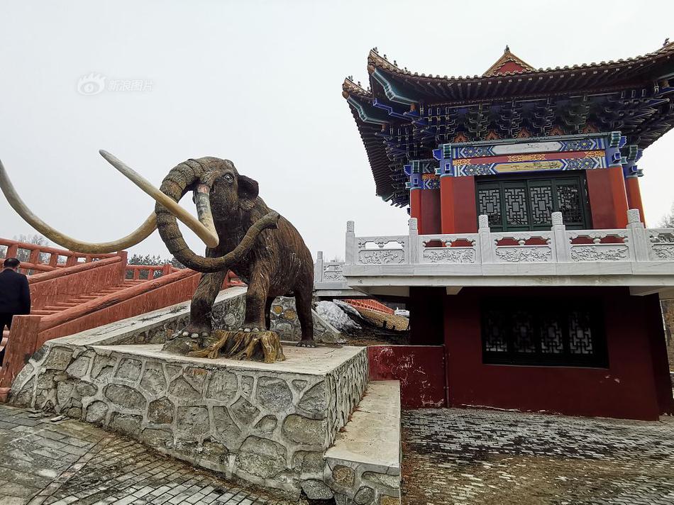 B费：人们往往会在一场比赛后过分兴奋，又在另一场后过分失落