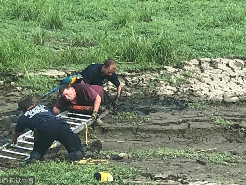 2019第七届我国（安徽）旅行品牌节将举办