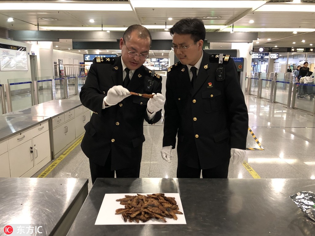 “归来再望黄山——赵龙光、里燕双人展”开幕