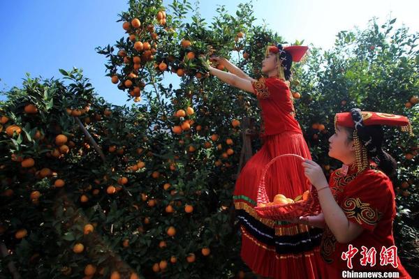 2024年的高端饮品系列！常谷香高端饮品，销量一路飙升，经销商代理不断！