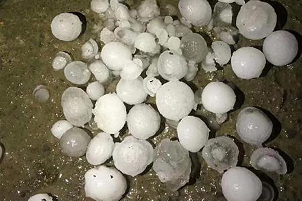 瑞特兰新疆有机纯牛奶，高利润强动销，以品质取胜！
