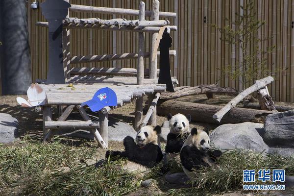 華為：首款鴻蒙電腦將於 5/19 正式發布