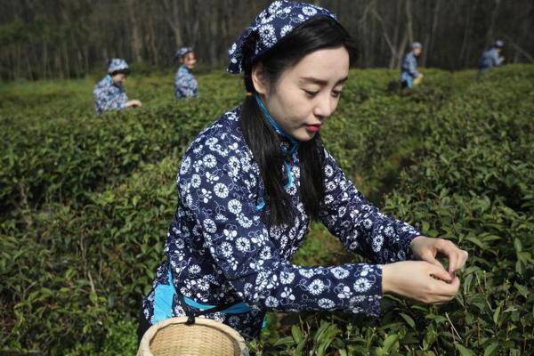 第二届安徽省防震减灾常识大赛宿州赛区选拔赛圆满结束