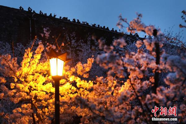 第二届“东方·比邻节”温情闭幕