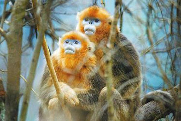 科學家開發新 AI 工具，透過自拍照就能推算「生理年齡」
