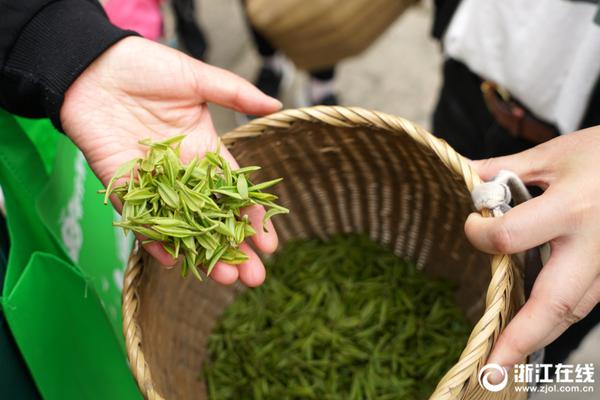 合肥市科技馆端午不打烊