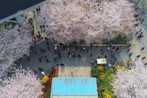 宿州市周寨村传统庙会风俗邂逅时髦元素