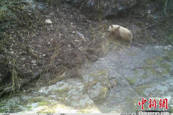 池州八中成功获批省级地舆学科教研基地