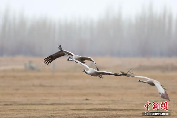 旌德被命名为安徽省园林县城
