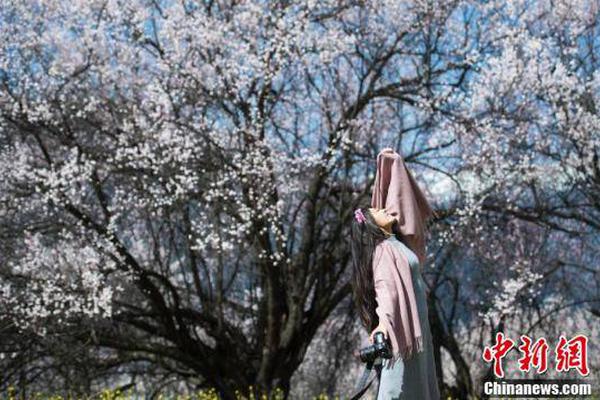 有品质、有市场、有渠道！泰山龙潭天然泉水圈粉经销商！