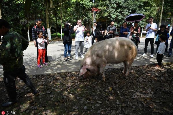 安徽廉政文化展明日在肥展开