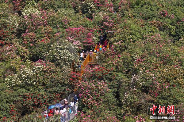亳州市28所学校获评第一届安徽省文明学校