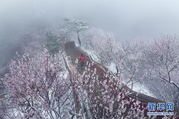 春节献礼，口碑销量双丰收！ 蜗旅果肉果汁礼盒刷屏春节战！