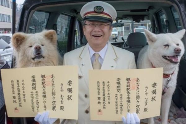村歌《群心追梦》排练进行时