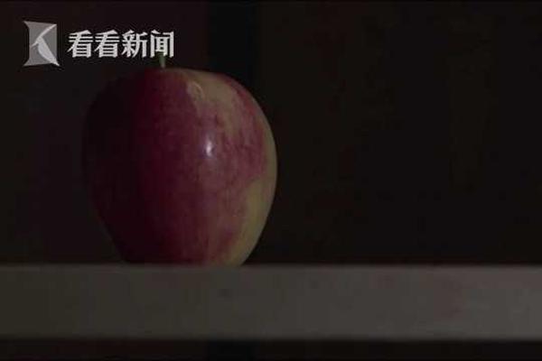 亳州市17件文物当选安徽一级文物名录