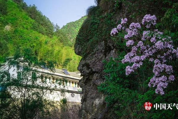 祁门县微短剧《念念有茗》当选广电总局引荐名单