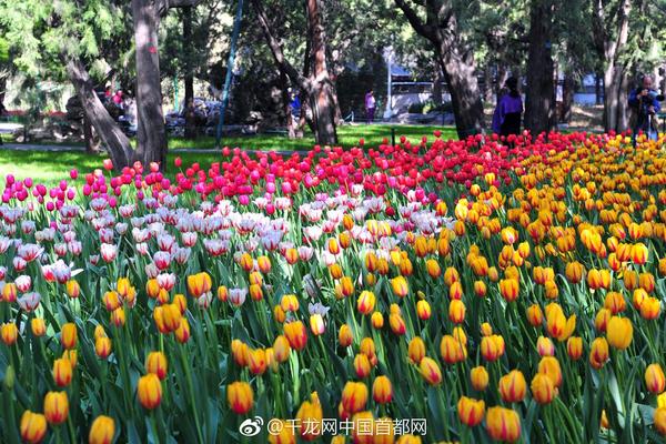 “绚丽70年·醉美塘西河”全民拍摄大赛发动