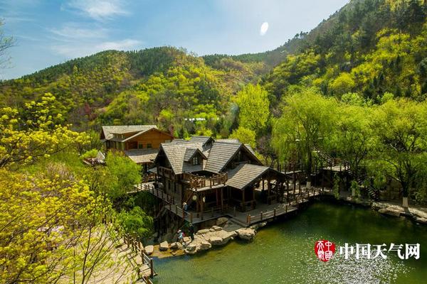 我市合肥文博会上达到意向订单逾800万元