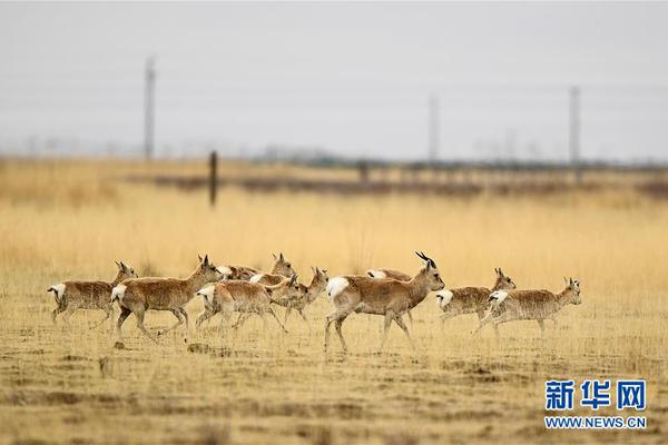 好妈炖：真材实料，好妈味道，做中国“熟”果汁倡导者