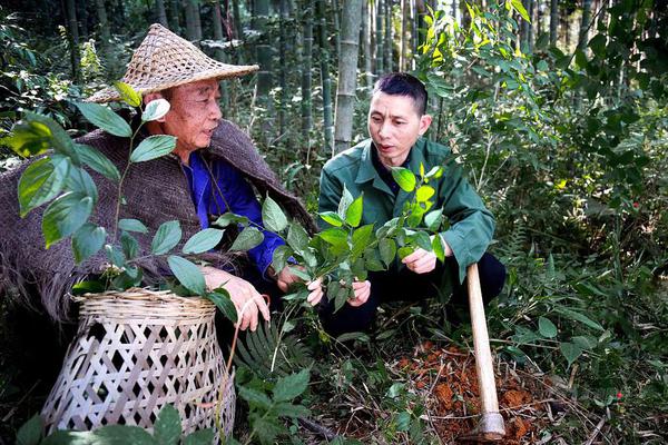 六安市第四届“文明交通服务之星”评选发布