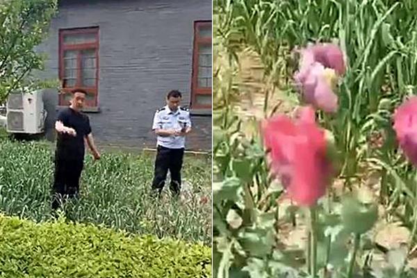 200多电子竞技高手亳州PK