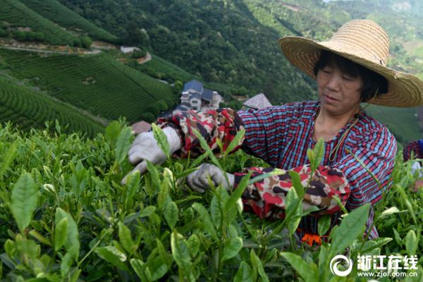 全责！罗马主帅尤里奇下课，博洛尼亚官微整活滕哈赫下课名场面