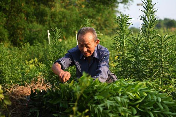 「拌面+汤品类首创者」，筷掌门成“特色美食代表”？