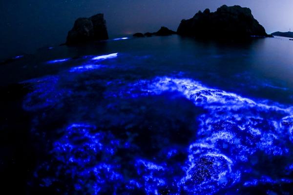 宁德霞浦县开展官井洋大黄鱼海洋生态保护禁养区清理整治统一行动