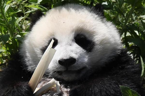 合肥市科技馆线上送出科普“大礼包”