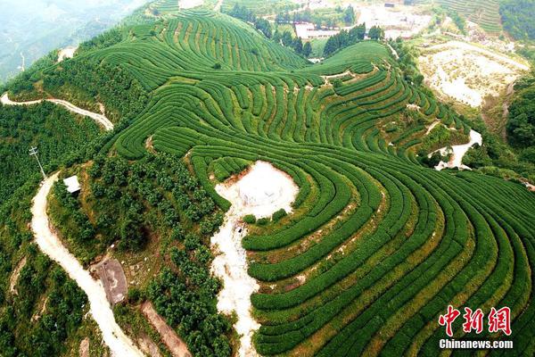 阜南县图书馆展开图书漂流进校园活动