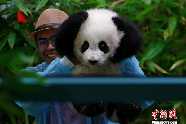 2019第七届我国（安徽）旅行品牌节将举办