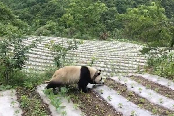 民族村庄产品线上引荐活动举行
