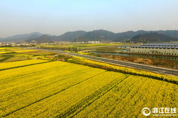 春节献礼，口碑销量双丰收！ 蜗旅果肉果汁礼盒刷屏春节战！