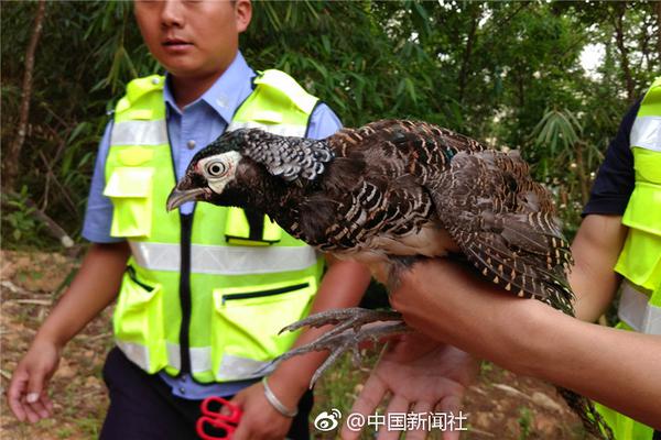 颜值与科技并存，腾讯黑鲨游戏手机3系走出不一样的“视觉”路线【数码&手机】风尚中国网