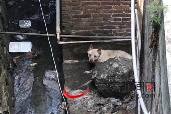>九游app官网下载客户端