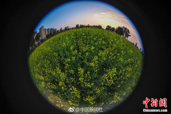 16年征程新火爆，六重豪礼助实企！恭贺外星森林入驻火爆食品网！