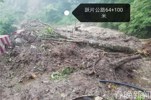 10月15日起晋江全面禁止无牌电动车上路行进