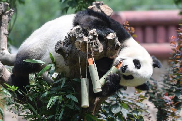 “暑期读一本好书”读书征文活动发动