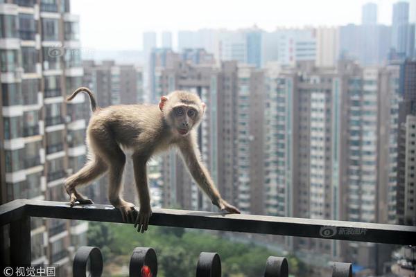 捐献图书宏扬皋陶文明